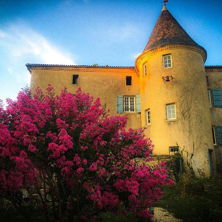 Chateau Gros Puy, Petit Chateau Chambre D'Hote Abjat-sur-Bandiat Экстерьер фото